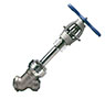 Cryogenic Service Globe Valve