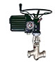 Conval Clampseal® Globe Valve with Electric Motor Actuator